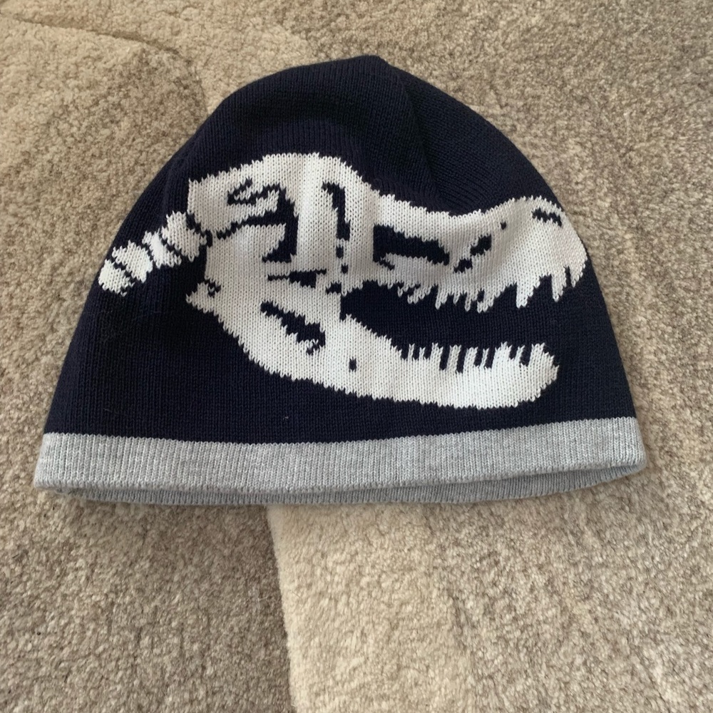 Gymboree Kids Blue beanie